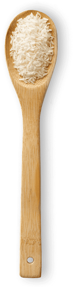 Long Grain macro photo